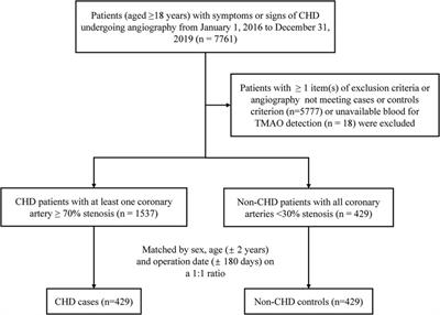 Association between plasma trimethylamine N-oxide and coronary heart disease: new insights on sex and age differences